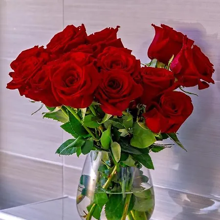 Zvonko Appartamento *